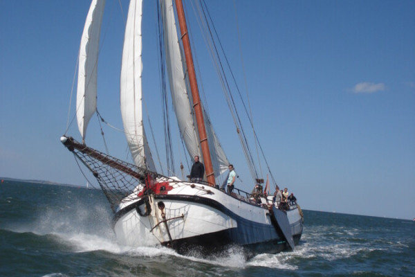 Bluescruise auf einem Plattbodenschiff – Segeln nach Terschelling und Blues Festival von Rederij van Linschoten