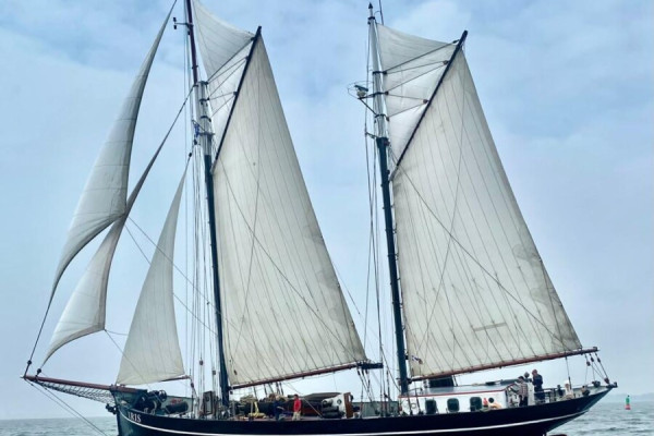 Traditionsschiff: Segelreise von Kiel nach Kopenhagen von Traditionsschiff Iris