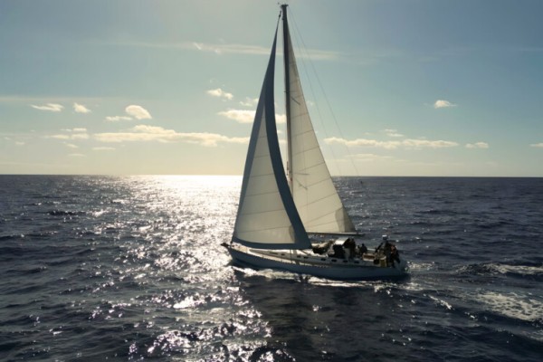 Aktiv mitsegeln auf La Lola in der dänischen Südsee von La Lola Sailing