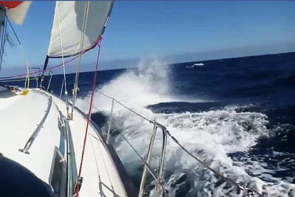 Herbstblues adé – Segeln zu den Juwelen der kroatischen Küste! von summer-wind-sailing.com