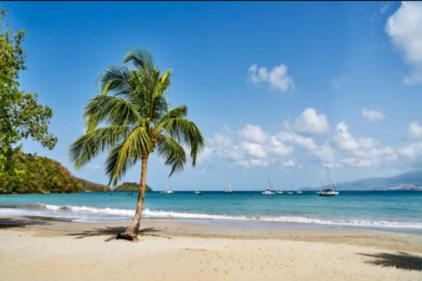 Karibische Träume Karneval auf Martinique von 