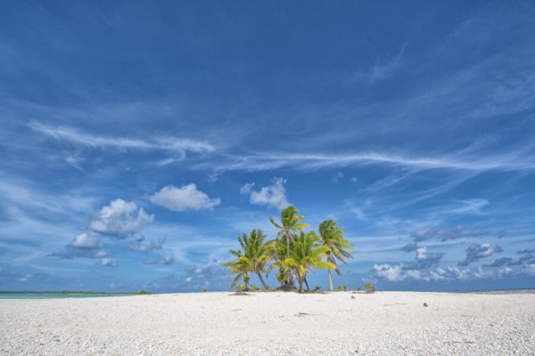 Von Tahiti in die Tuamotus inkl. Halbpension, max. 2 Gäste von 